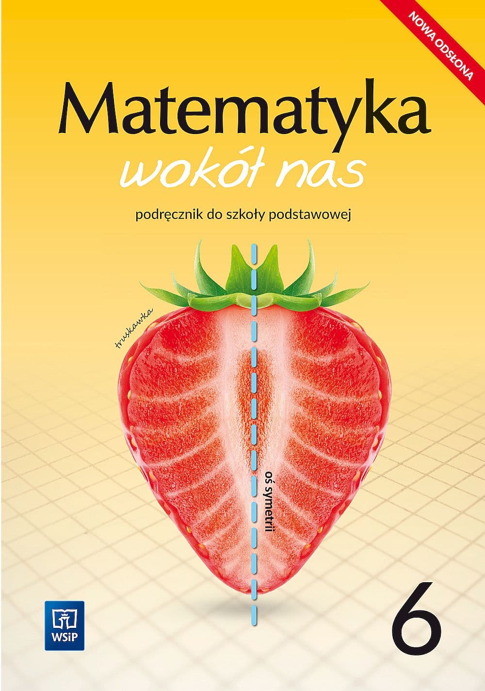 Matematyka wokół nas 6 (WSiP)